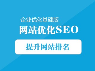 企業(yè)網(wǎng)站優(yōu)化基礎版